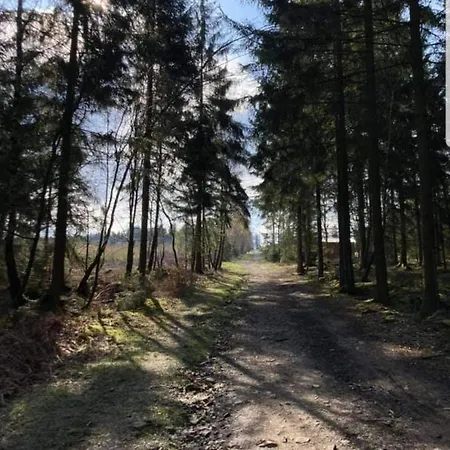 L'essentiel A アパート フランコルシャン