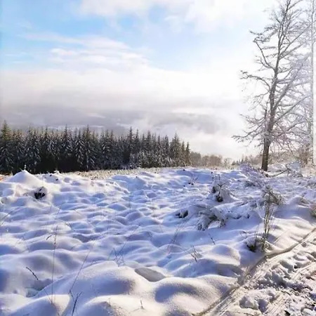 L'essentiel A Apartment Francorchamps