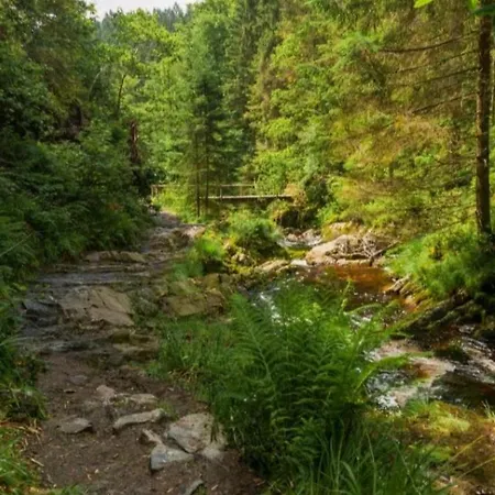 L'essentiel A アパート フランコルシャン