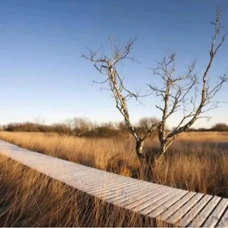 Apartment L'essentiel A