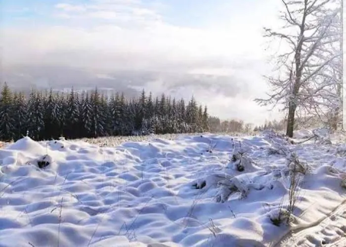 L'essentiel A דירה פרנקורשנס