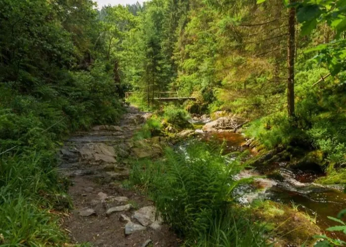 L'essentiel A Διαμέρισμα Francorchamps