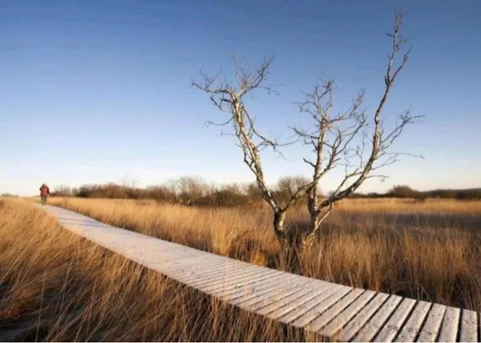 Διαμέρισμα L'essentiel A